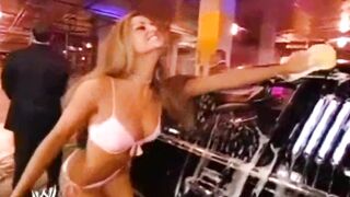 WWE Divas Bikini Car Wash