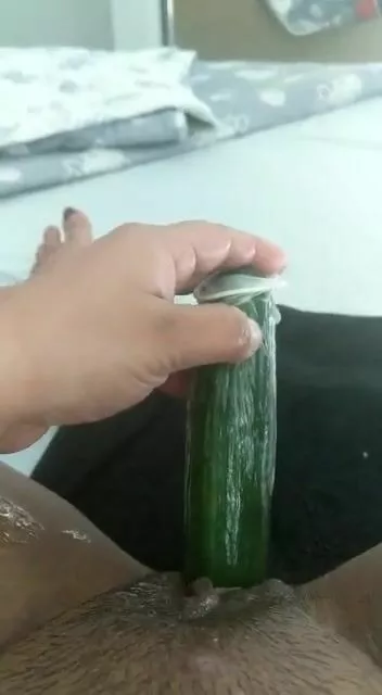 Cucumbet in pussy gif