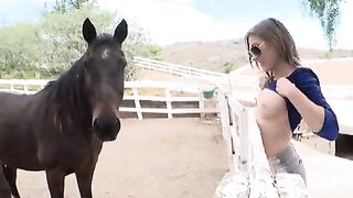 flashing a horse